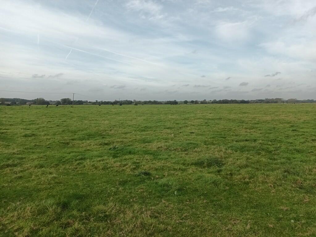 Farm land for sale in Burgh St Peter , Beccles , NR34