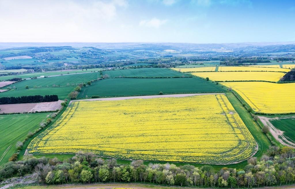 Farm land for sale in Land near Brocksbushes, Stocksfield, NE43