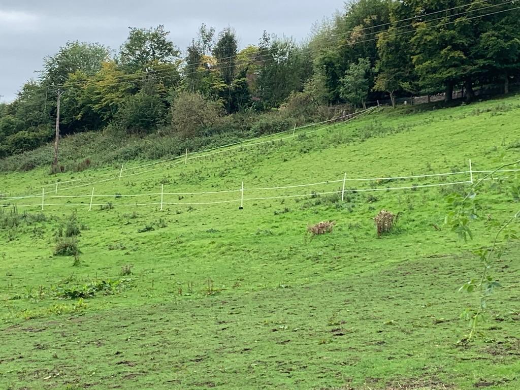 Land for sale in Allars Mill, Jedburgh, TD8 6NR, TD8