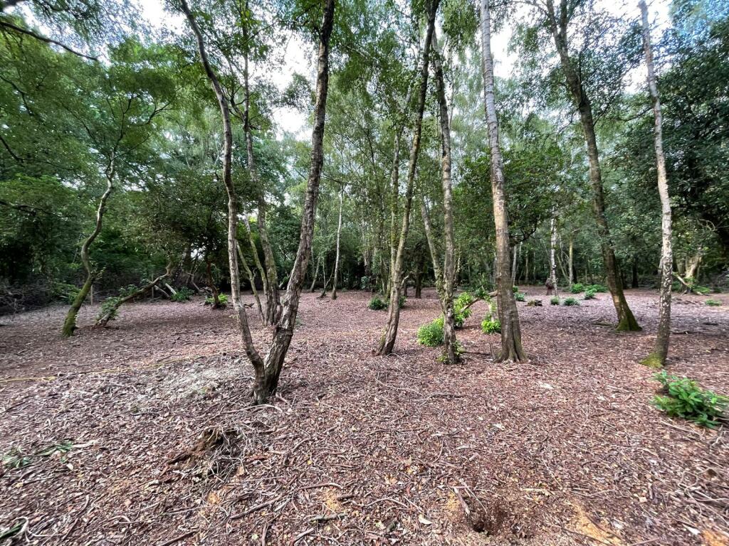 Main image of property: Forest Road, Colgate, Horsham