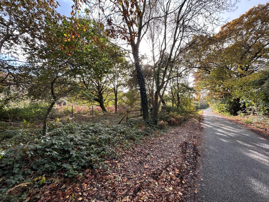 Land for sale in Newtown Road, Awbridge, Romsey, SO51