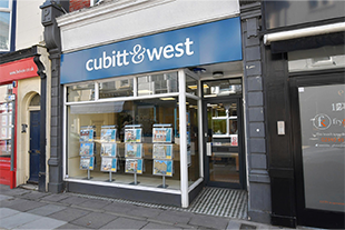 Cubitt & West, Southseabranch details