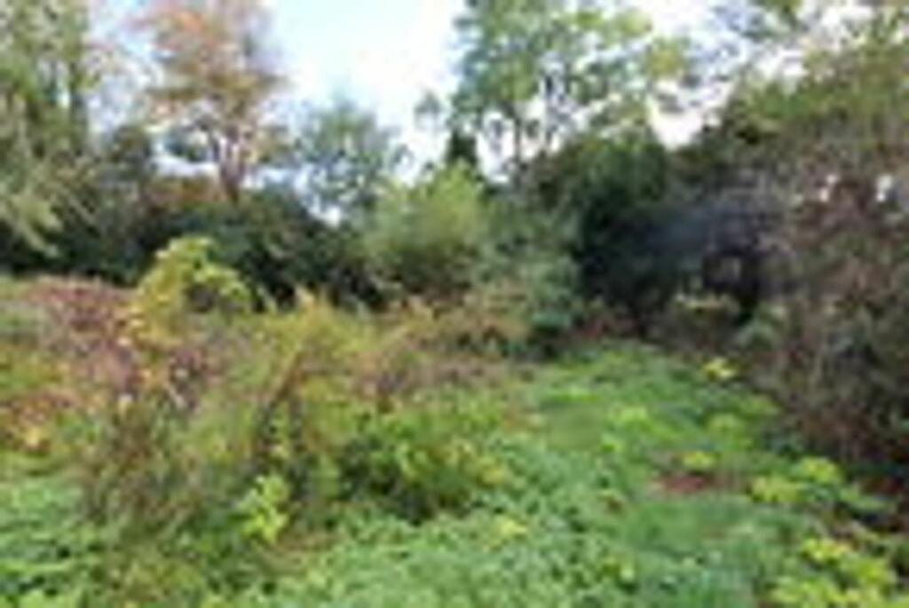 Additional property image - Silverstreet, Wrington, BS40