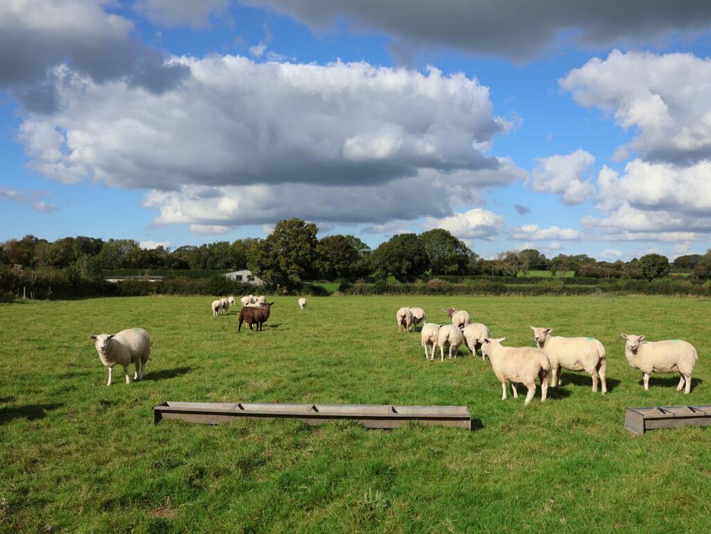 Additional property image - Nempnett Thrubwell, listed barn with full PP for conversion