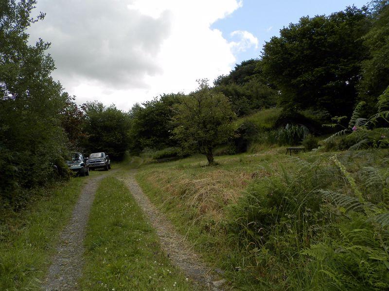 1 bedroom detached house for sale in New Mill, St. Clears, Carmarthen, SA33