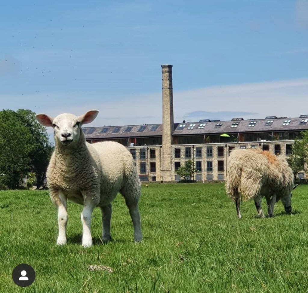 Main image of property: Horace Mill, Cononley, BD20