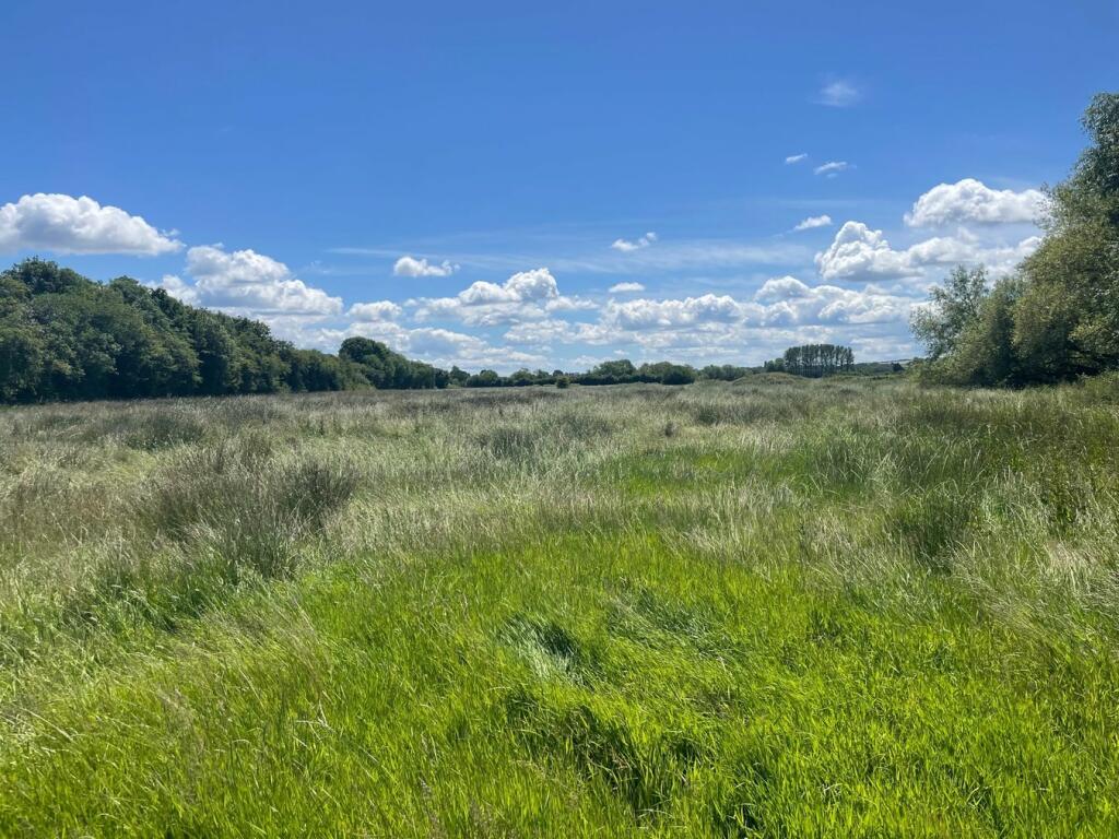 Farm land for sale in Waldrons Lane, Perry Green, Wembdon, TA5