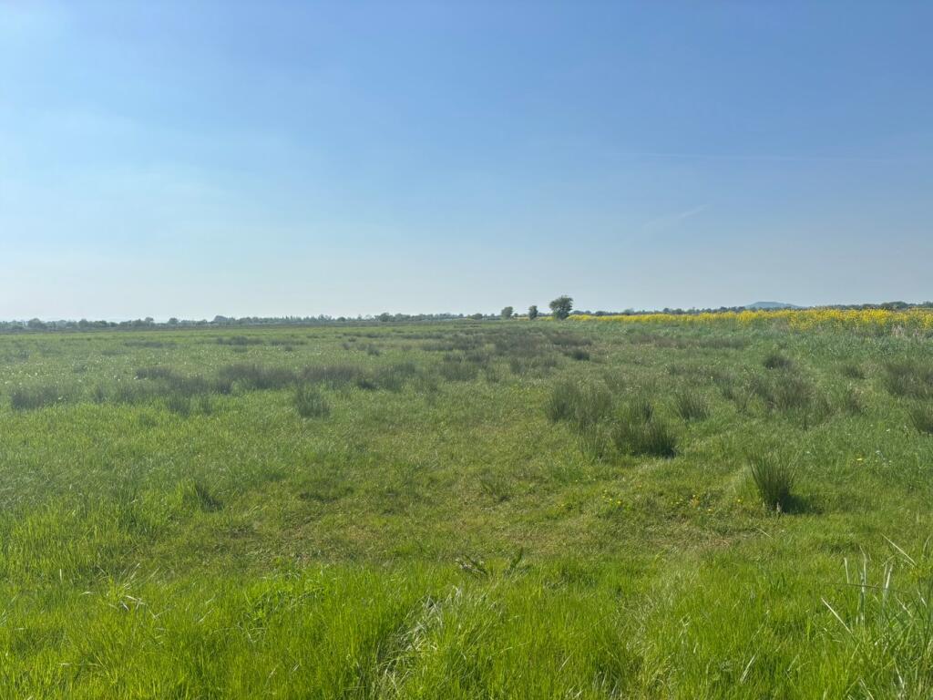 Main image of property: White House Drove, Heath House, Wedmore, BS28