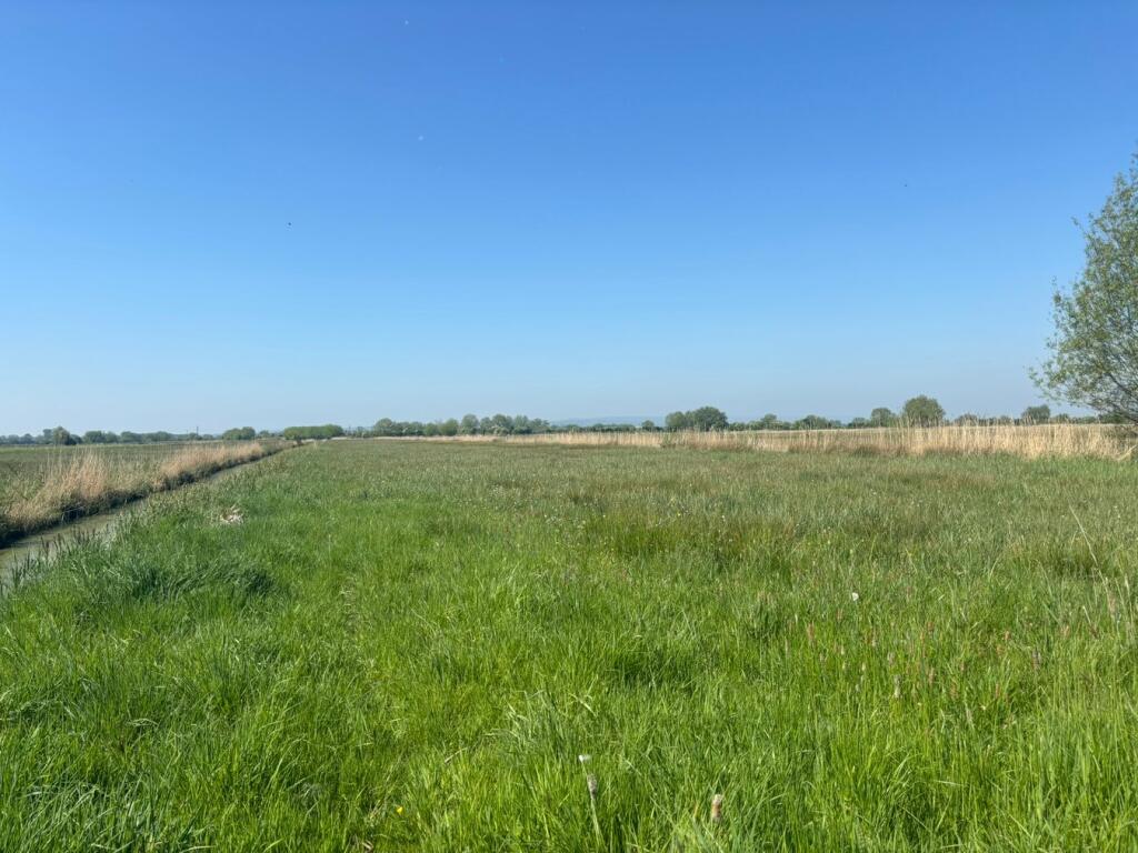 Main image of property: Langmead Drove, Middlezoy, TA7