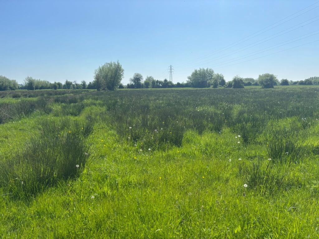 Main image of property: Middle Drove, Westonzoyland, TA7