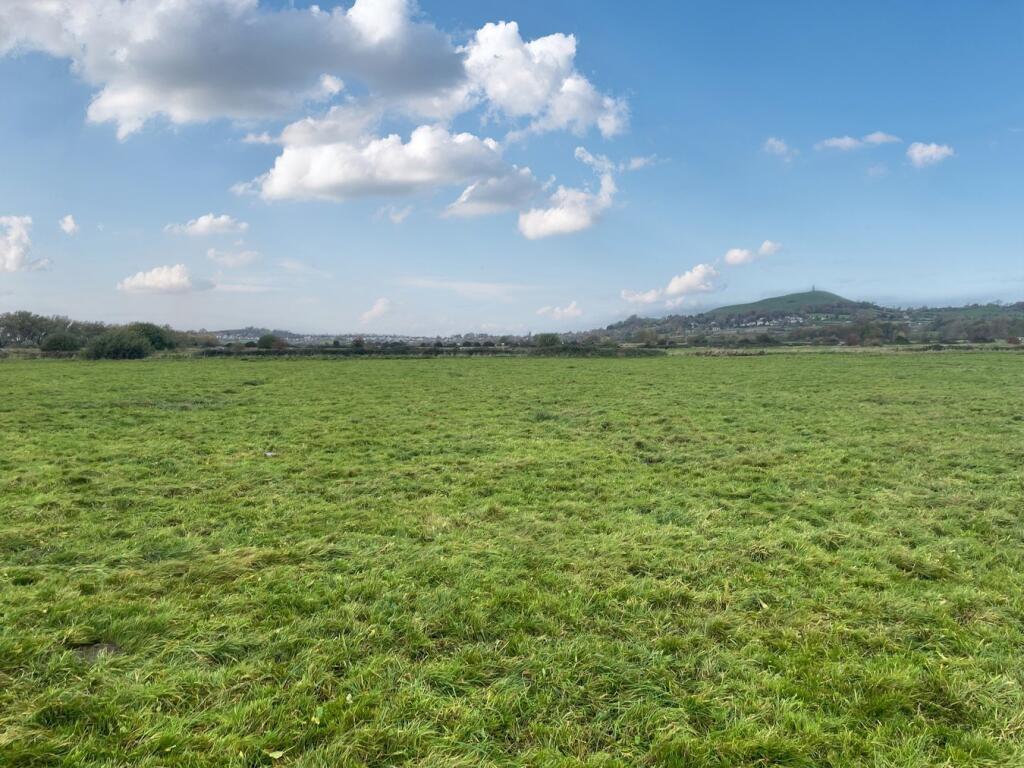 Main image of property: Watchwell Drove, Glastonbury, BA6