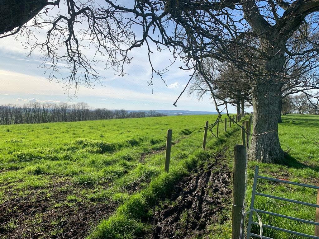 Land for sale in At Bowdens, Langport, Somerset, TA10
