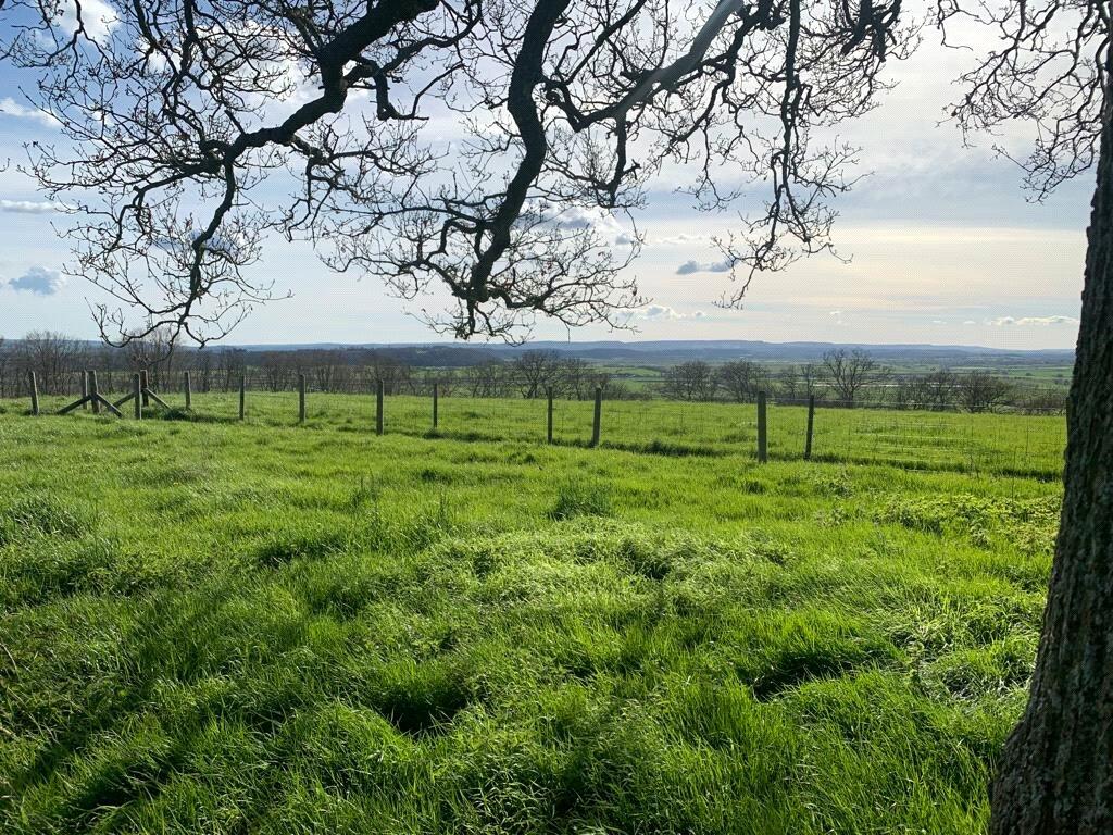 Land for sale in At Bowdens, Langport, Somerset, TA10