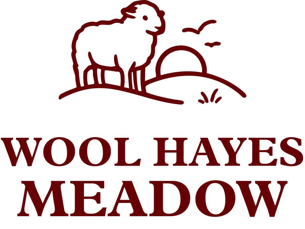 Main image of property: Wool Hayes Meadow, Shepton Beauchamp, Ilminster, Somerset, TA19