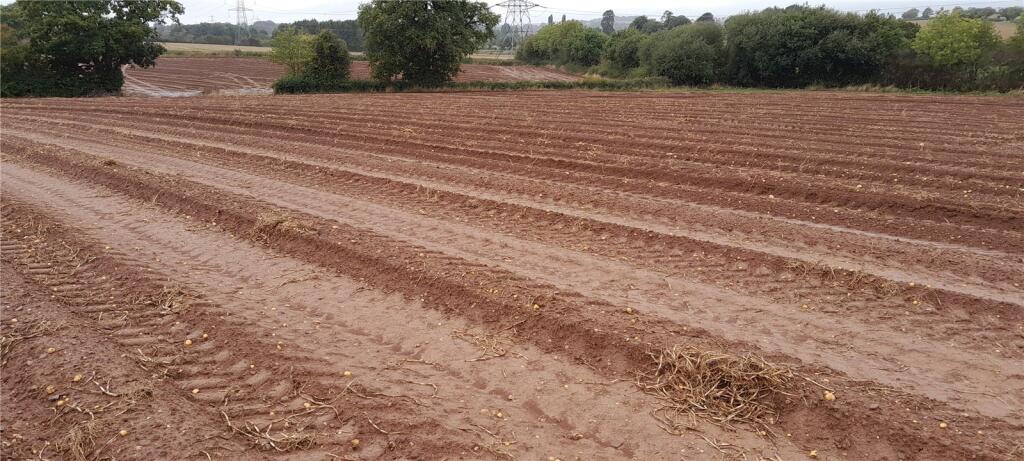 Main image of property: Land South Of Luckham Farm, Milverton, Taunton Somerset, TA21