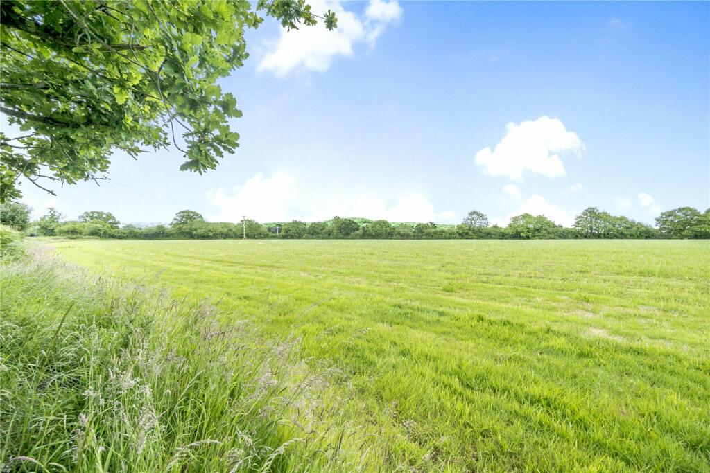 Land for sale in Peasmarsh, Ilminster, Somerset, TA19