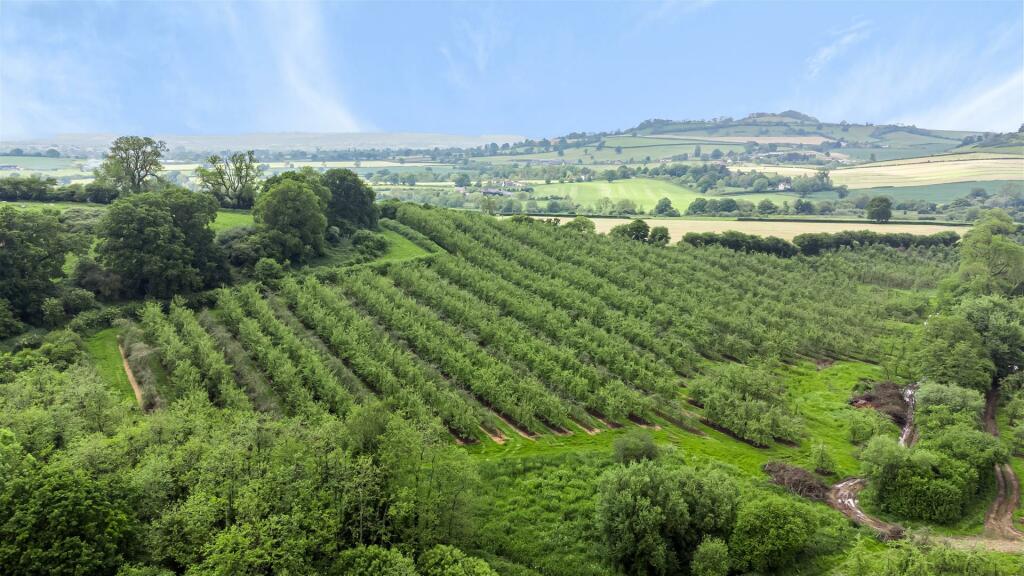 Additional property image - Hadspen, Castle Cary, Somerset