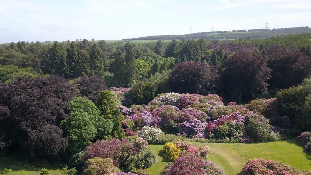 Additional property image - Eshwood Hall, Durham