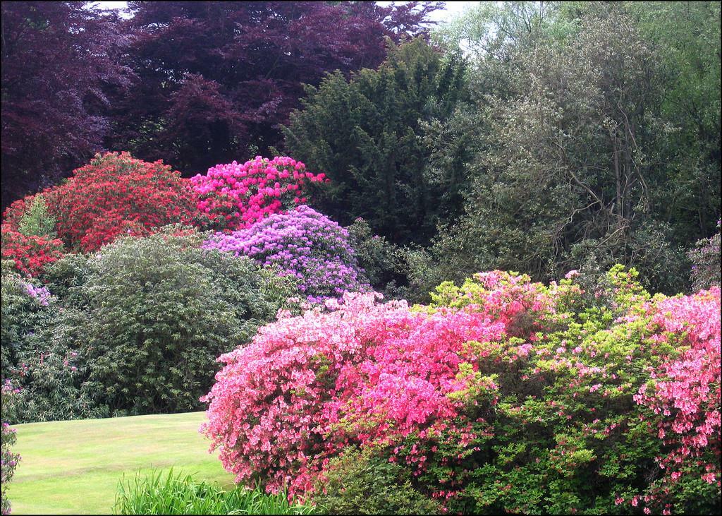 Additional property image - Eshwood Hall, Durham
