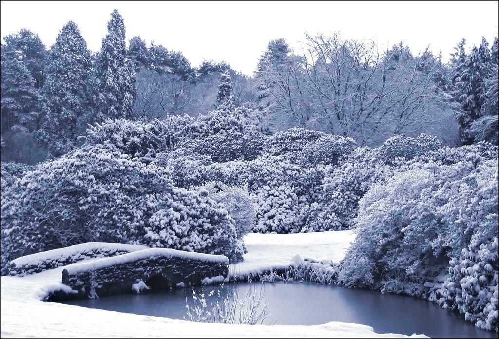 Additional property image - Eshwood Hall, Durham
