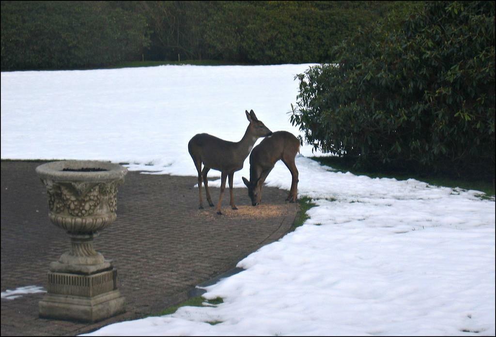 Additional property image - Eshwood Hall, Durham