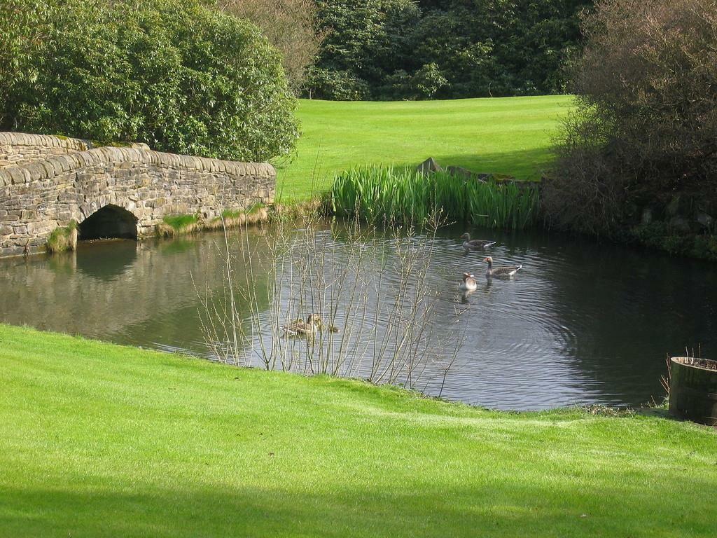 Additional property image - Eshwood Hall, Durham