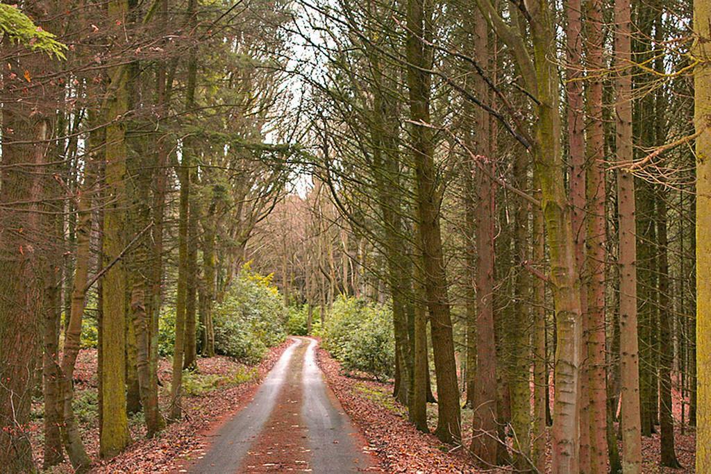 Additional property image - Eshwood Hall, Durham
