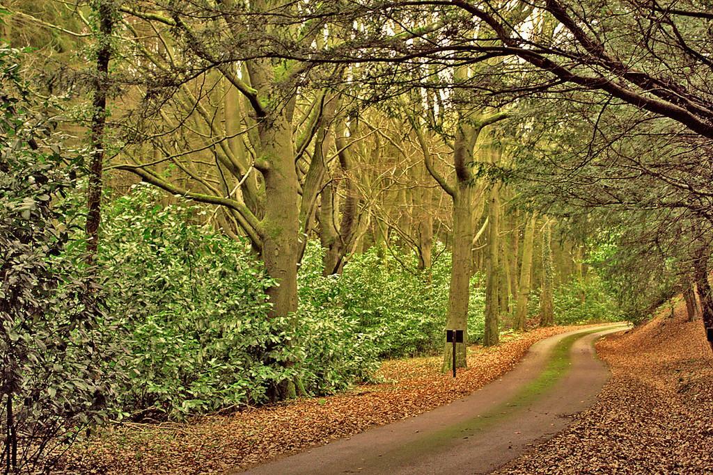 Additional property image - Eshwood Hall, Durham