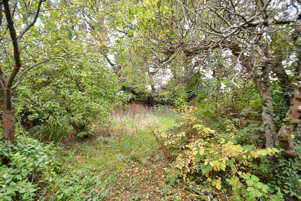 Additional property image - Broadstone