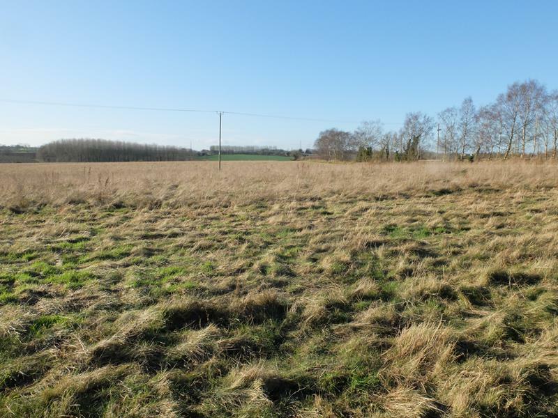 Land for sale in Land Opposite Pippins, Lowcop Lane, Peterstow, Rosson