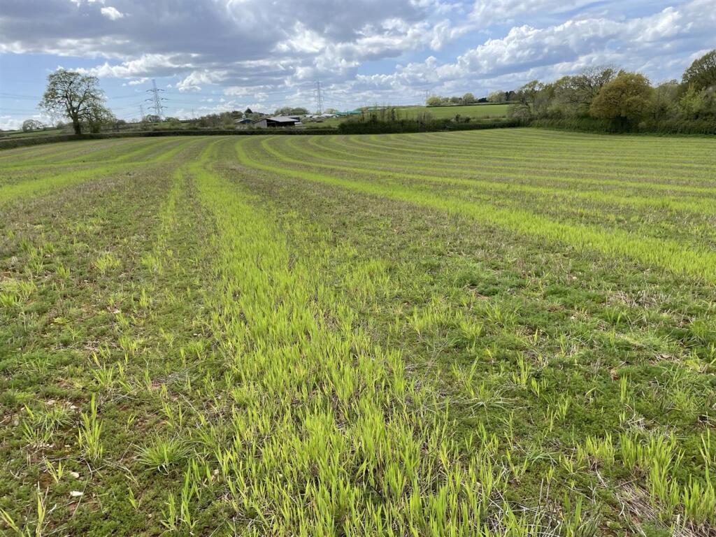 Main image of property: Westwood, Broadclyst