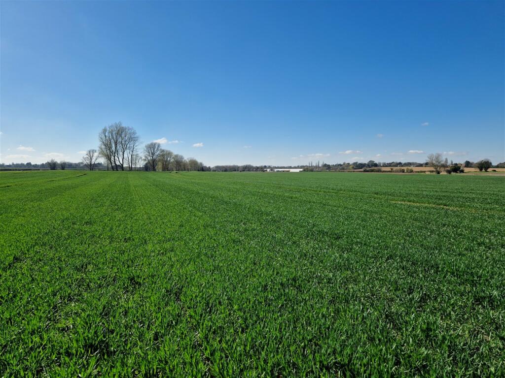 Land for sale in Alderton, Suffolk Heritage Coast, IP12