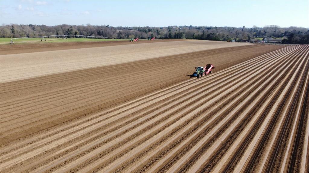 Land for sale in Alderton, Suffolk Heritage Coast, IP12