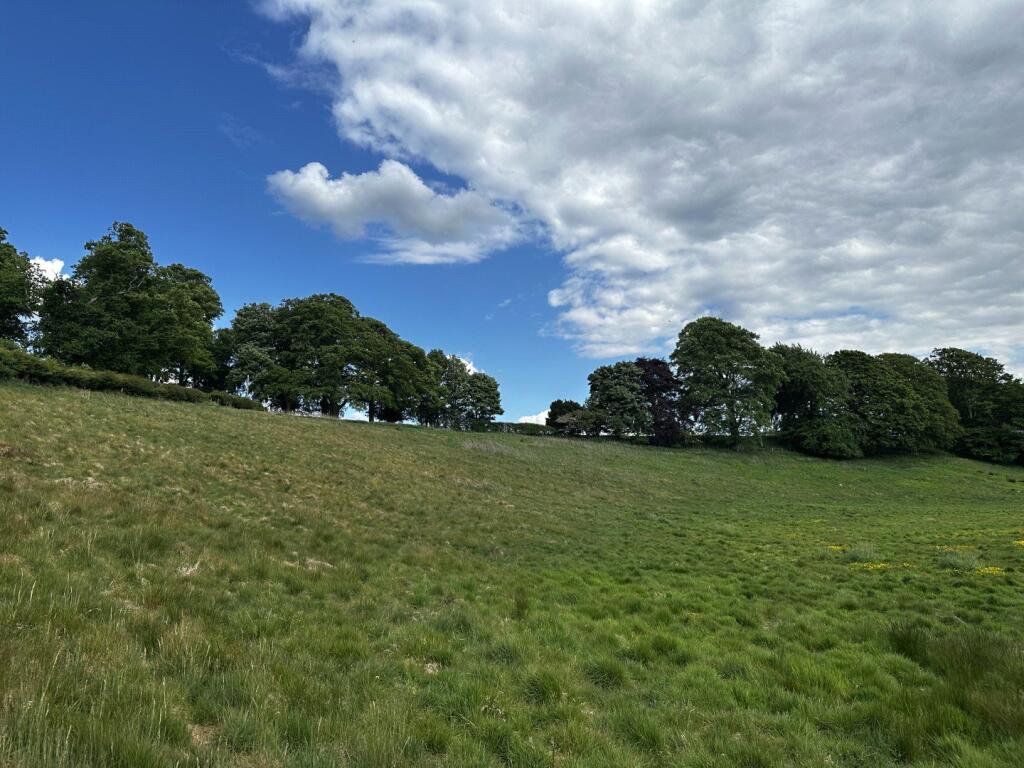 Main image of property: Land To Let At Southwaite, Southwaite, Carlisle, Cumbria