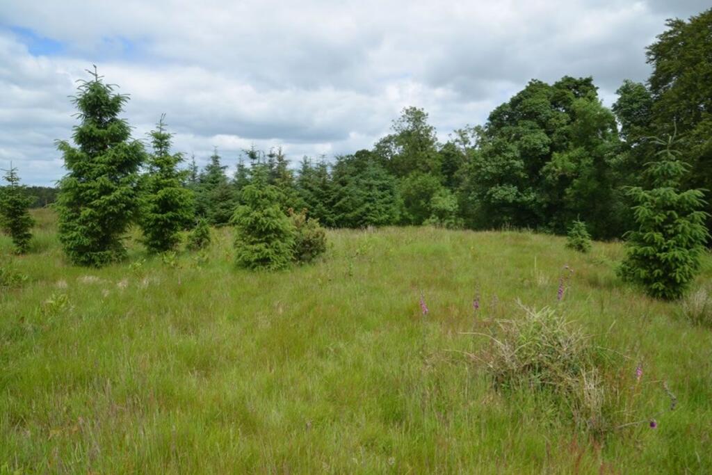 Main image of property:  Land at Craigview Wood, Glenlochar, Castle Douglas , DG72PB