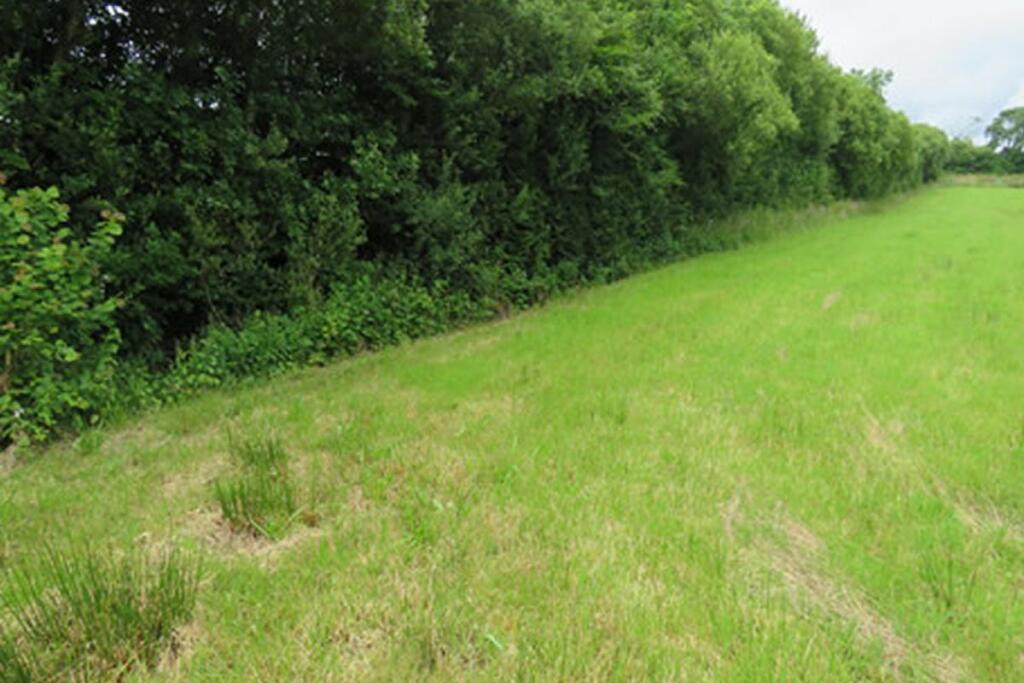 Main image of property:  Plot A13a, Hollacombe, Holsworthy, Clawton, Devon, EX226NL