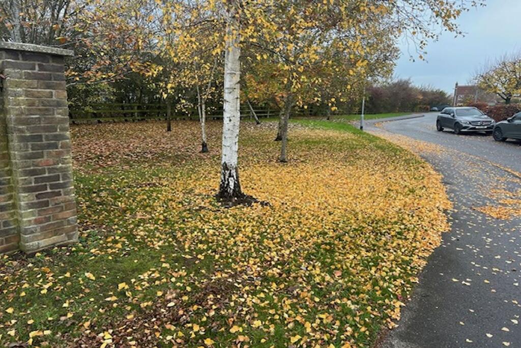 Main image of property:  Land, at Caterbury Close, Woodhall Spa, Lincolnshire, LN106GA