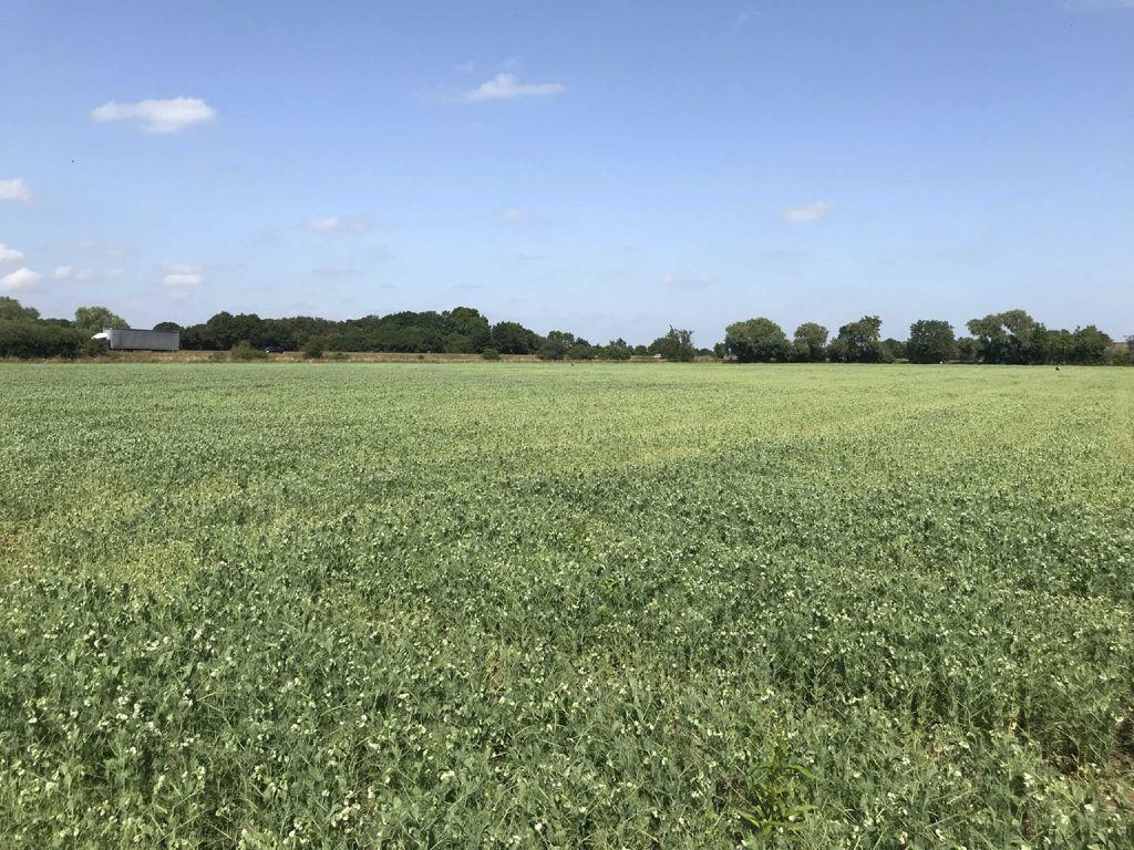 Land for sale in Mill Lane, Gilberdyke, HU15