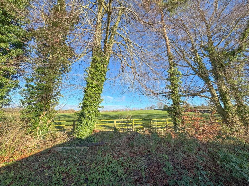 Additional property image - Newmarket Road, Cheveley, Newmarket, Suffolk, CB8