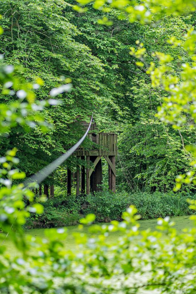 Additional property image - Chiddingly, Lewes, East Sussex