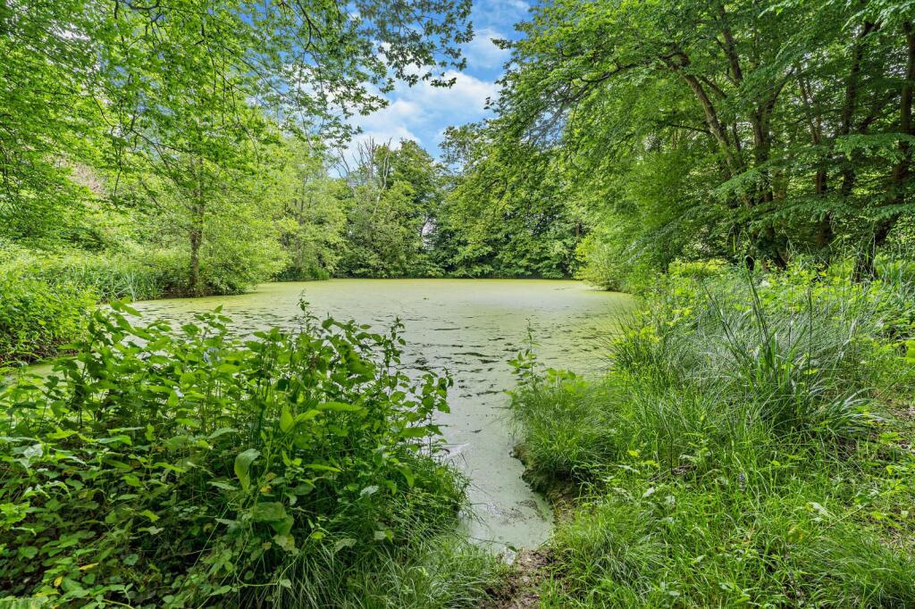 Additional property image - Chiddingly, Lewes, East Sussex