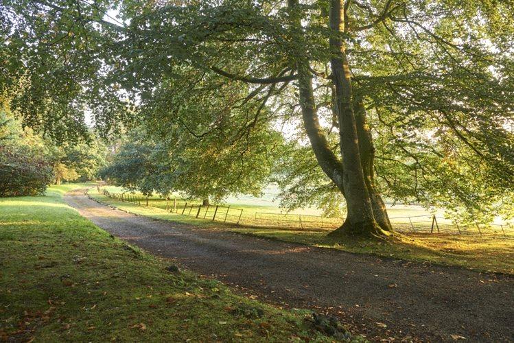 6 bedroom detached house for sale in Mendham, Harleston, Norfolk, IP20