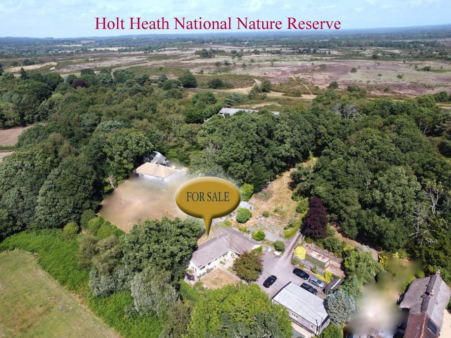 Main image of property: Woodhuish Coniferales, Holt, Wimborne, BH21 7EA
