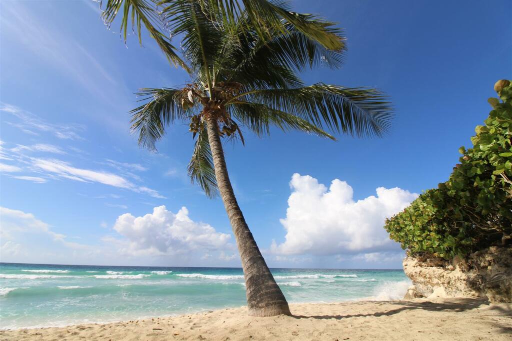 Additional property image - Mistle Cove, St Lawrence Gap, Barbados