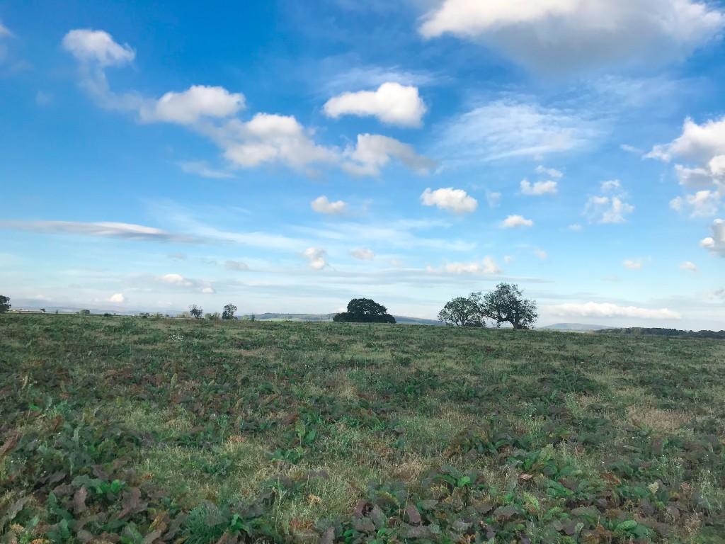 Farm land for sale in Land at Kirkby Thore, Penrith, Cumbria CA10 1XS, CA10