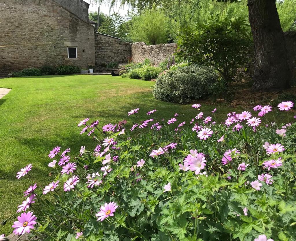 4 bedroom detached house for sale in Cotherstone, Barnard Castle, DL12