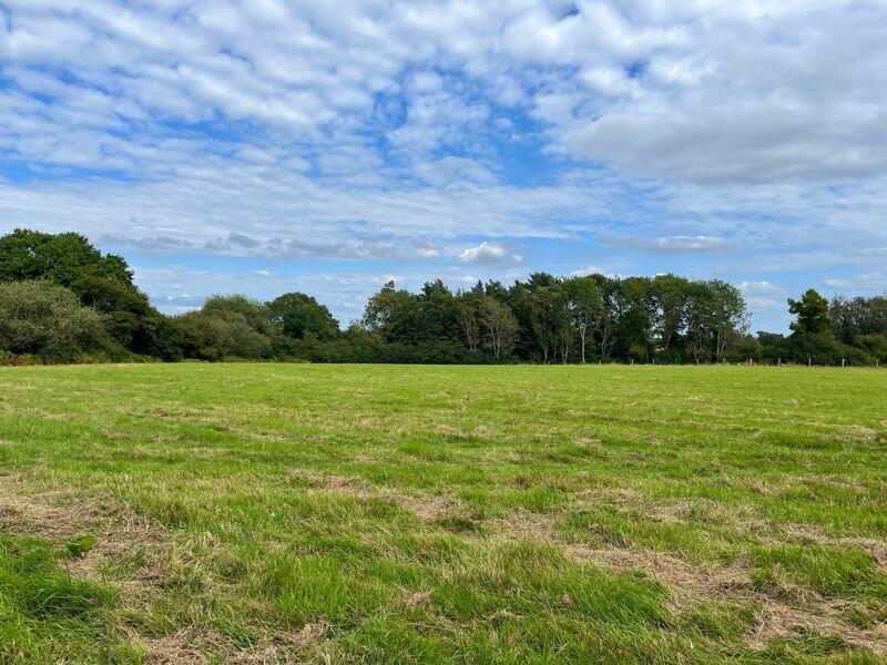 Land for sale in Coldwaltham, Nr. Pulborough , RH20