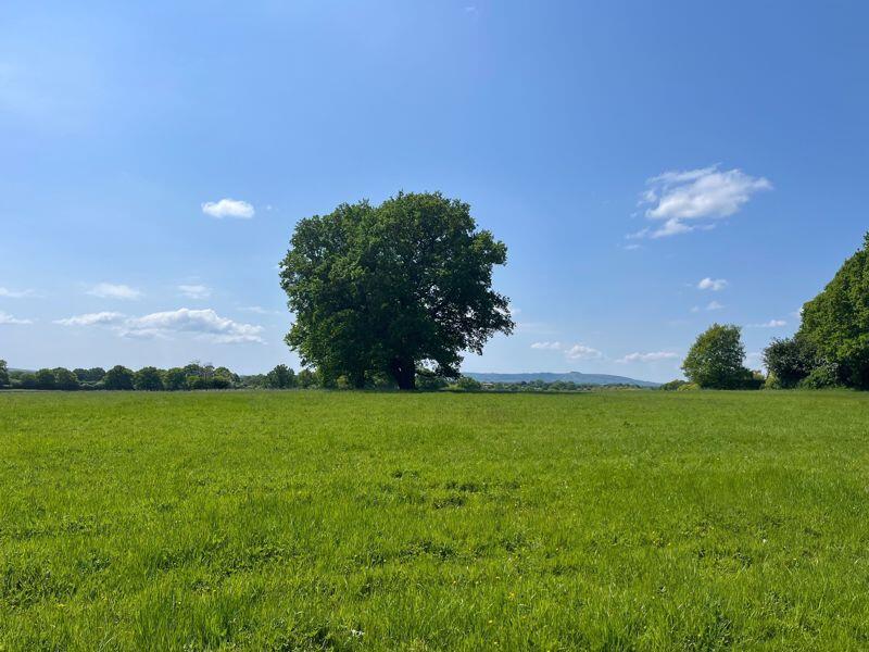 Main image of property: Shermanbury