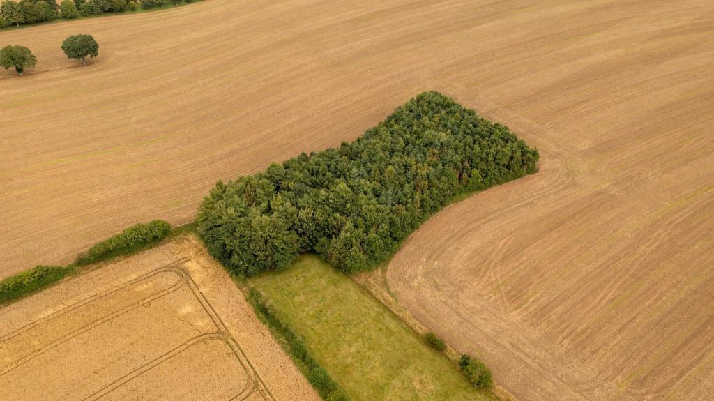 Farm land for sale in Kingthorpe, Pickering, YO18