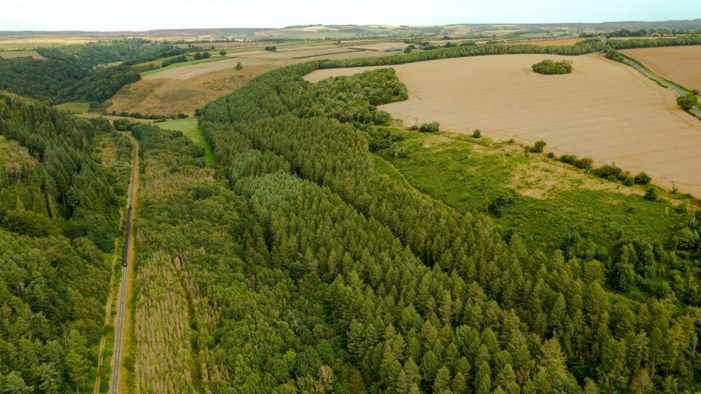 Farm land for sale in Kingthorpe, Pickering, YO18